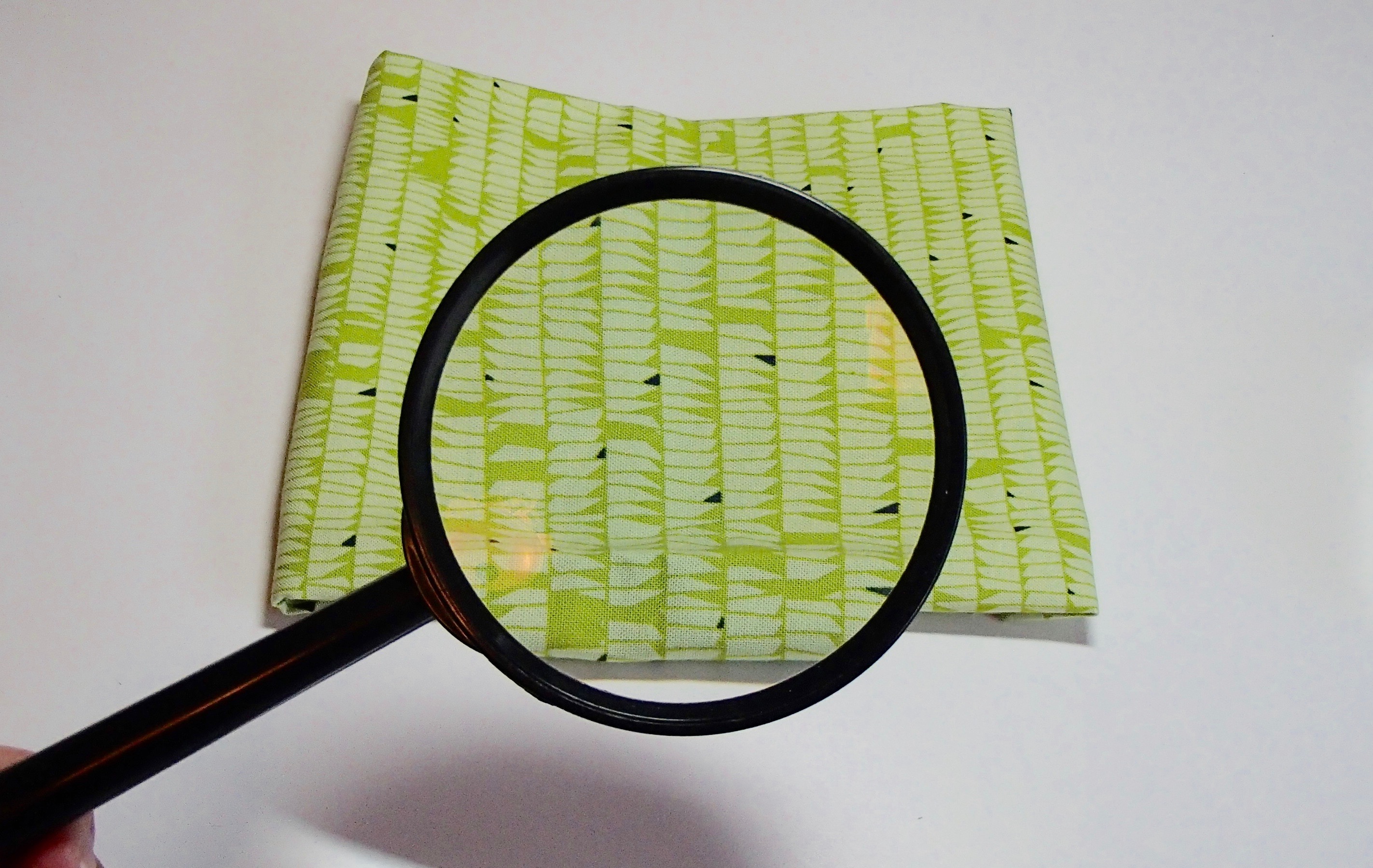 »A Study In Focus«